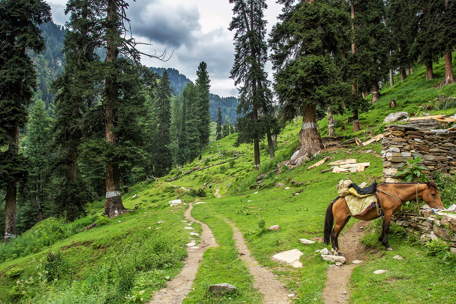 Packers and Movers in Mansehra